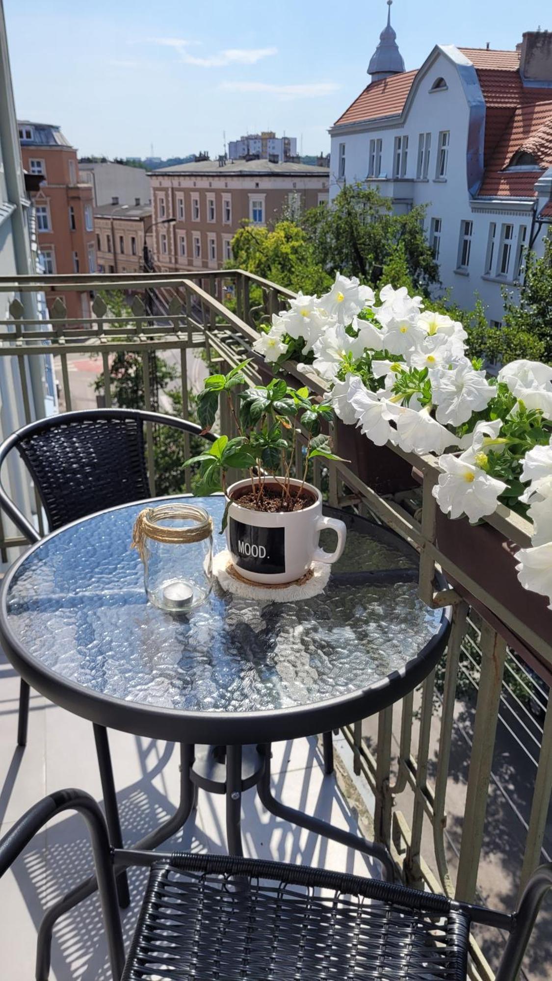 Klimatyczny Apartament W Sercu Bydgoszczy Exteriör bild